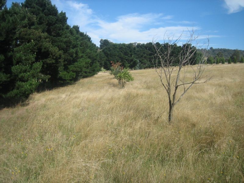 135 Sixth Avenue, Eden Park VIC 3757