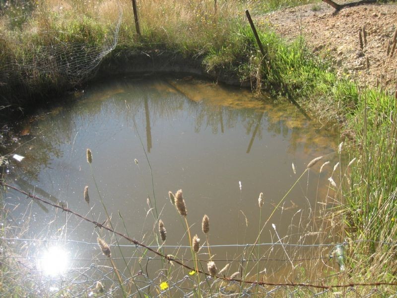 135 Sixth Avenue, Eden Park VIC 3757