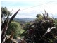 39 Bourke Street,, Whittlesea VIC 3757