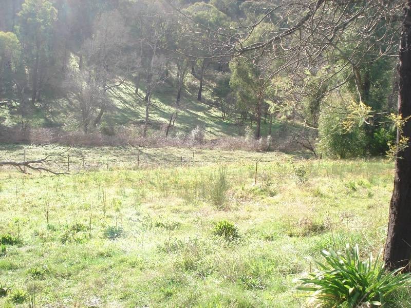 37 Long Gully Road, Hazeldene VIC 3658