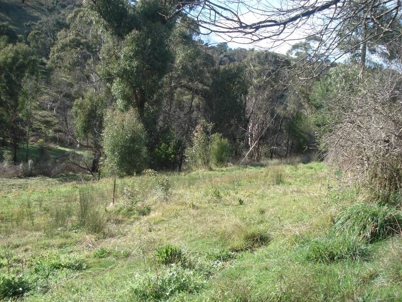37 Long Gully Road, Hazeldene VIC 3658
