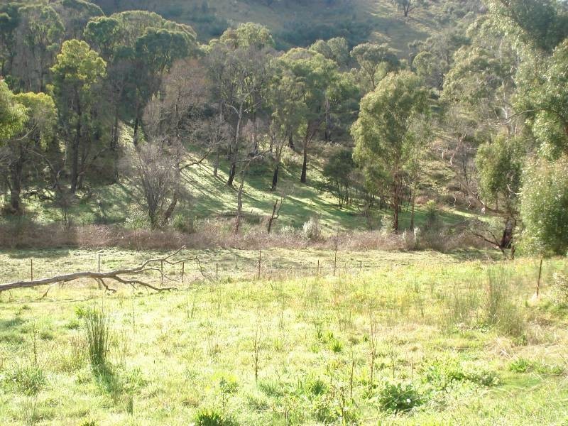 37 Long Gully Road, Hazeldene VIC 3658