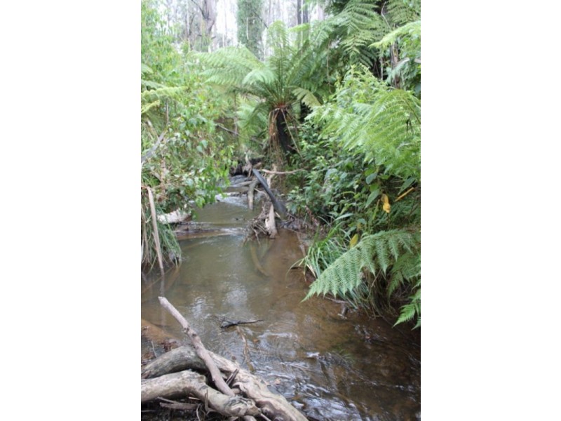 72 Edward Staff Drive, Kinglake VIC 3763