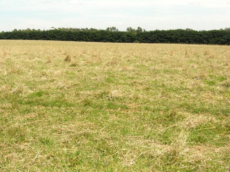 Lot 2 -710 Whittlesea Kinglake Road, Pheasant Creek VIC 3757