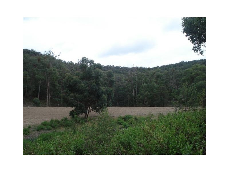 51 Matheis Road, Arthurs Creek VIC 3099