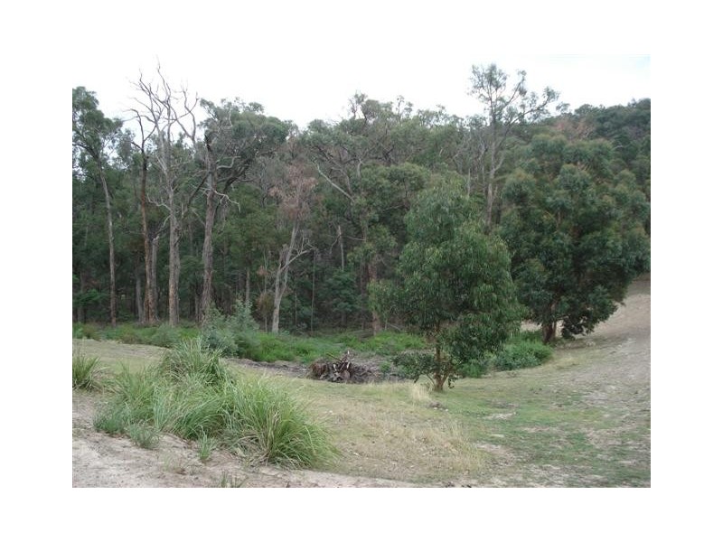 51 Matheis Road, Arthurs Creek VIC 3099