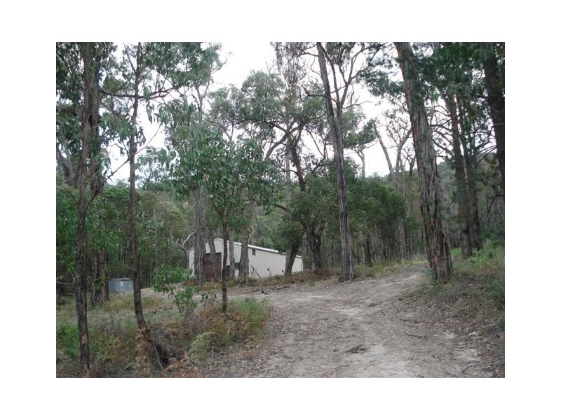 51 Matheis Road, Arthurs Creek VIC 3099