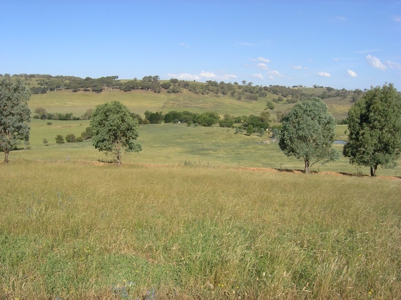 Forest Reefs NSW 2798