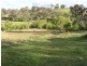 Orange NSW 2800