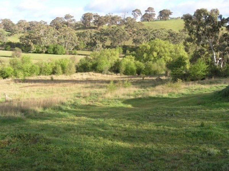 Orange NSW 2800
