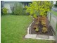 324 Peisley Street, Orange NSW 2800
