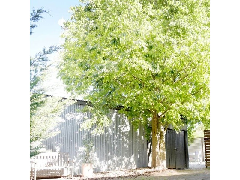1 / 113 Endsleigh Avenue, Orange NSW 2800