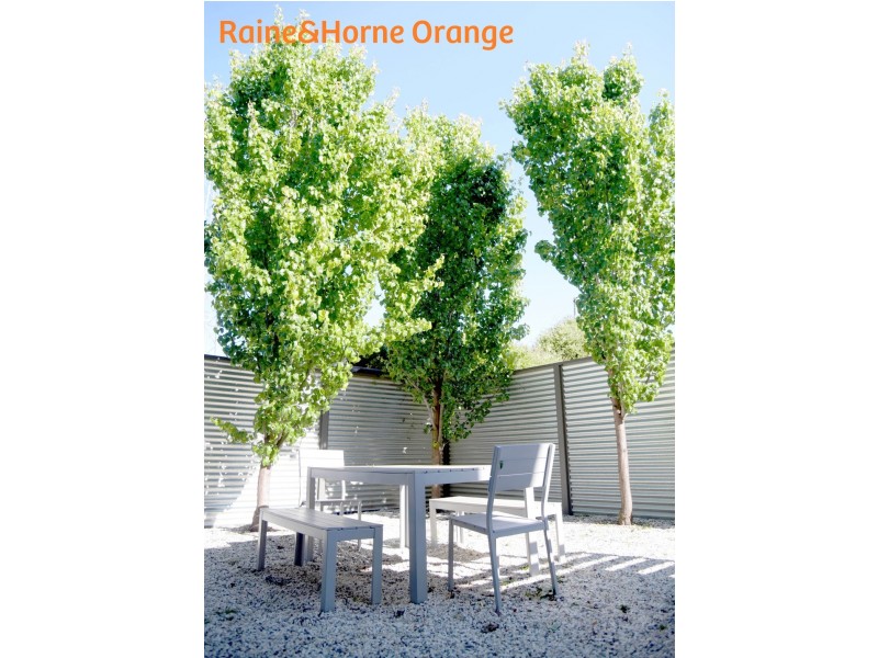 5 / 113 Endsleigh Avenue, Orange NSW 2800