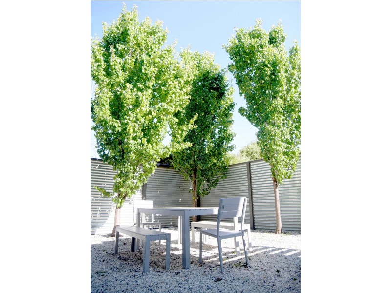 2 / 113 Endsleigh Avenue, Orange NSW 2800