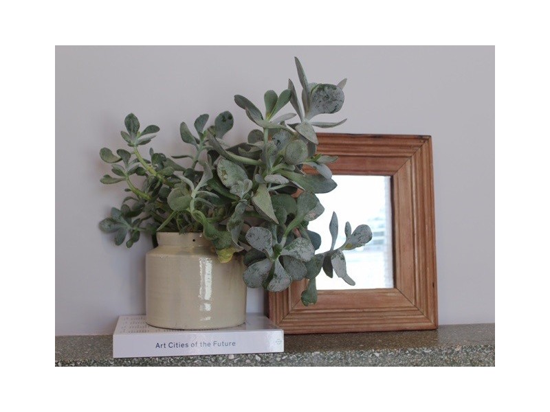 Unit 3 111-113 Endsleigh Avenue, Orange NSW 2800