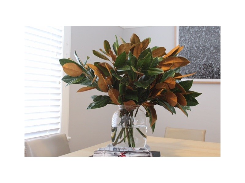 Unit 3 111-113 Endsleigh Avenue, Orange NSW 2800