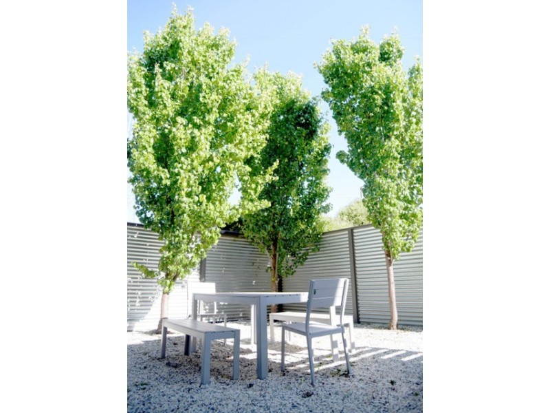 Unit 3 111-113 Endsleigh Avenue, Orange NSW 2800