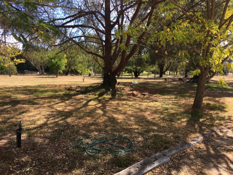 24 The Billabong, Clifton Grove NSW 2800