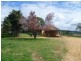 5 Murphys Lane, Orange NSW 2800