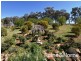 464 Kangaroobie Road, Orange NSW 2800