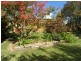 Orange NSW 2800
