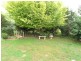 533 Borenore Road, Orange NSW 2800