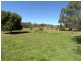 Cargo NSW 2800