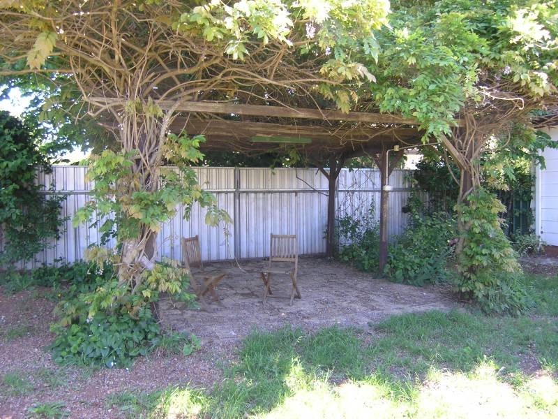 Orange NSW 2800