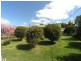 41 Worboys Street, Spring Hill NSW 2800
