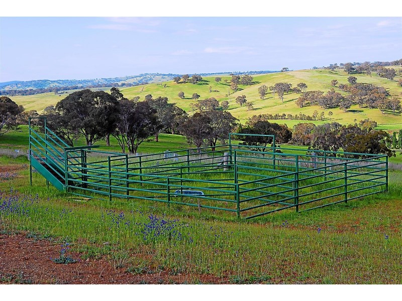 75 Horspool Way, Orange NSW 2800