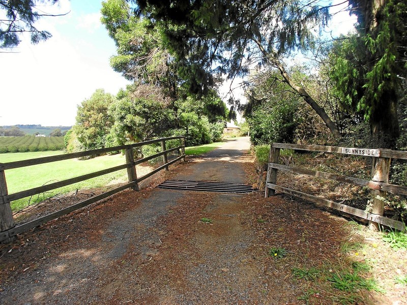 299 Nancarrow Lane, Nashdale via, Orange NSW 2800