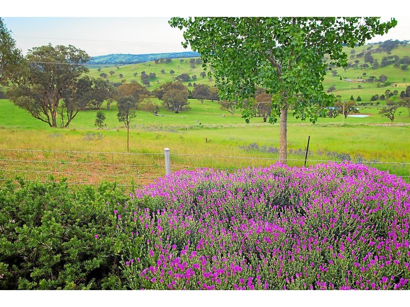 75 Horspool Way, Orange NSW 2800