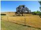 Orange NSW 2800