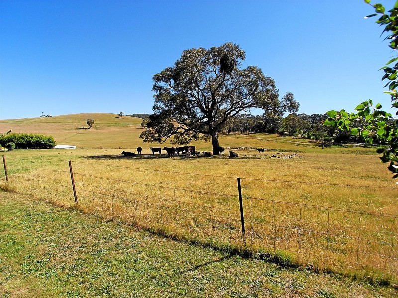 Orange NSW 2800