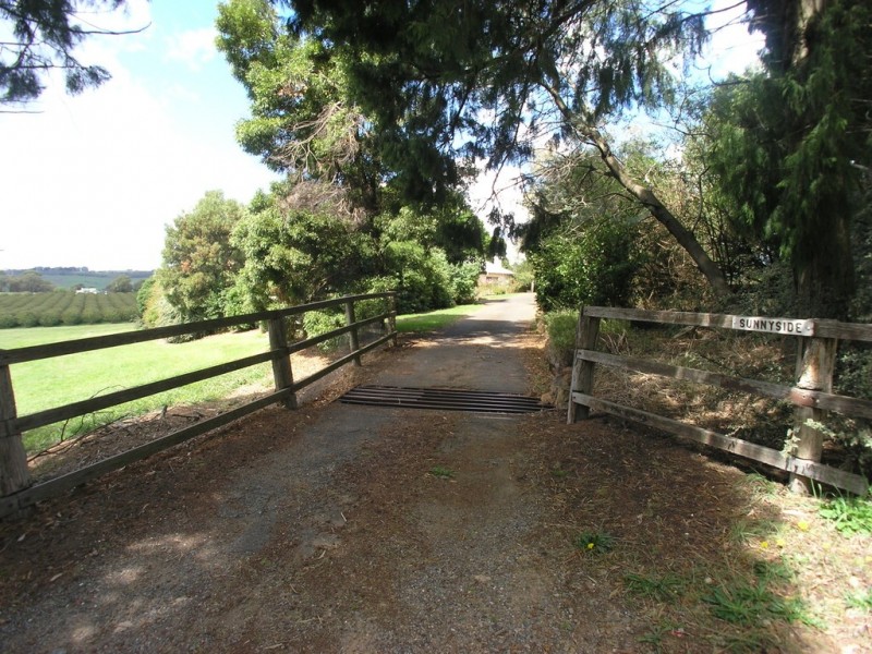 299 Nancarrow Lane, Nashdale, Orange NSW 2800