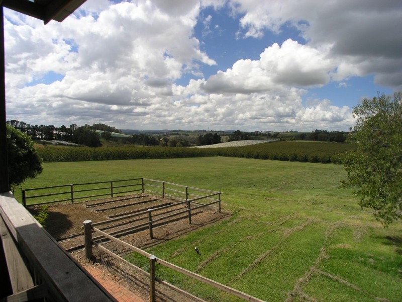 299 Nancarrow Lane, Nashdale, Orange NSW 2800