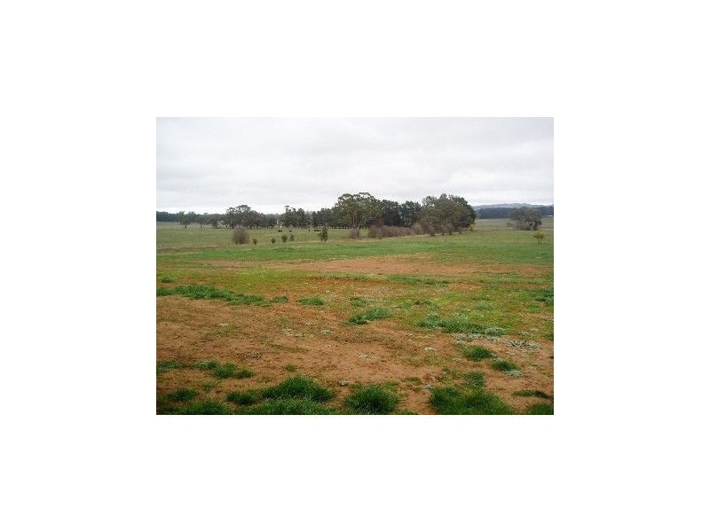 81 Ginns Road, Orange NSW 2800