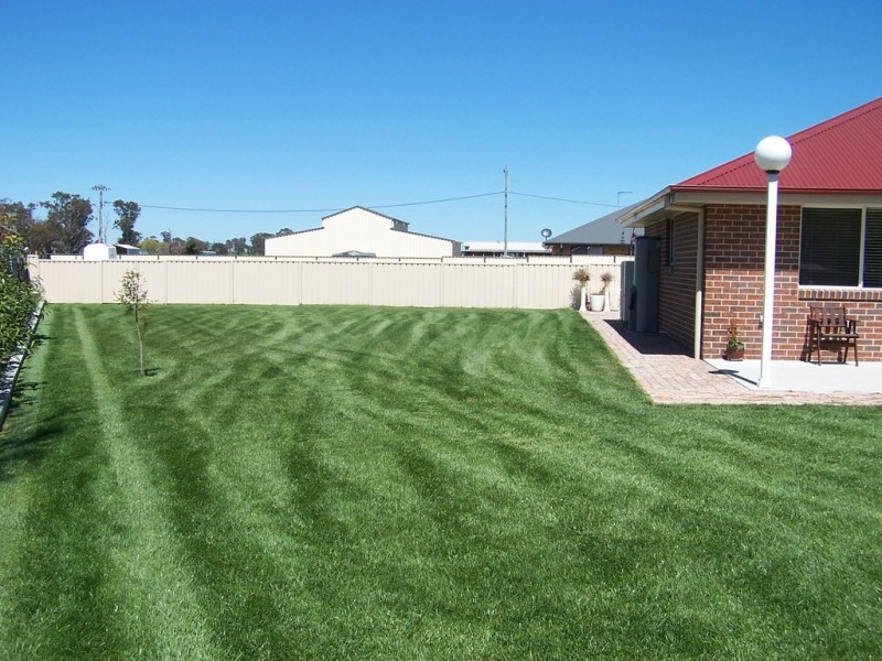 20 Grove Street, Spring Hill NSW 2800