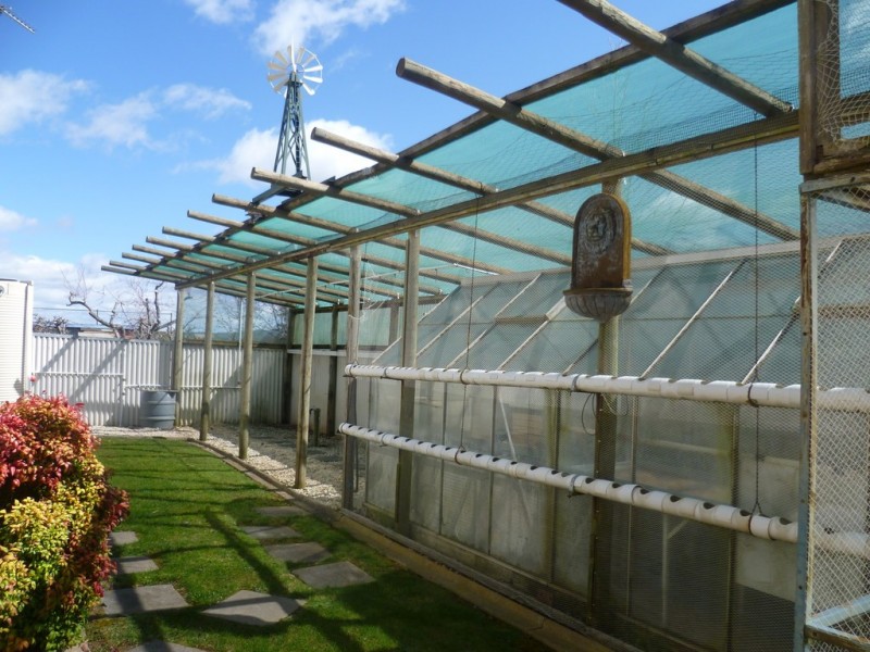 3/47 Cox Avenue, Orange NSW 2800