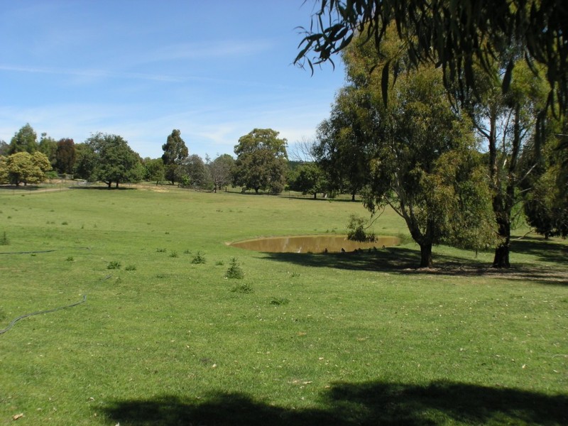 67 Weemilah Place, Clifton Grove NSW 2800