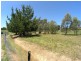 67 Weemilah Place, Clifton Grove NSW 2800