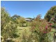 67 Weemilah Place, Clifton Grove NSW 2800