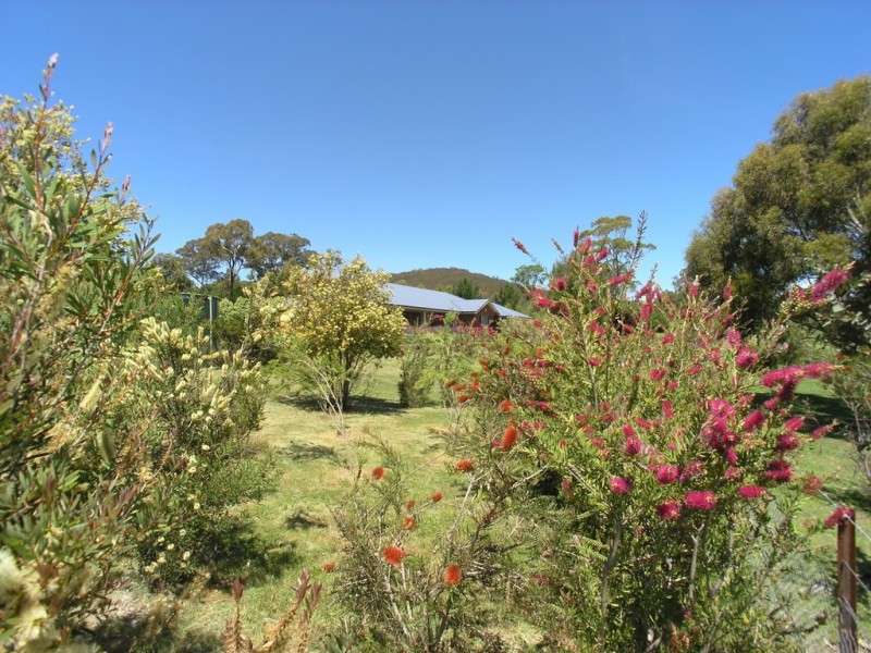 67 Weemilah Place, Clifton Grove NSW 2800