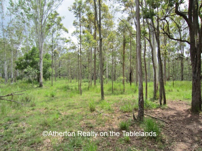 13 Harding Road, Wondecla QLD 4887