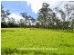 Tolga QLD 4882
