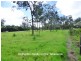 Tolga QLD 4882