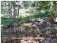 Upper Barron QLD 4883