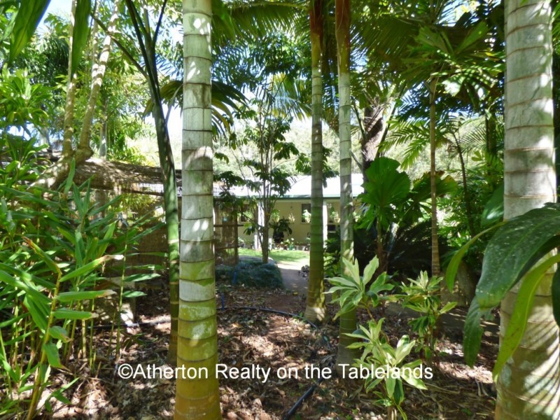 Upper Barron QLD 4883
