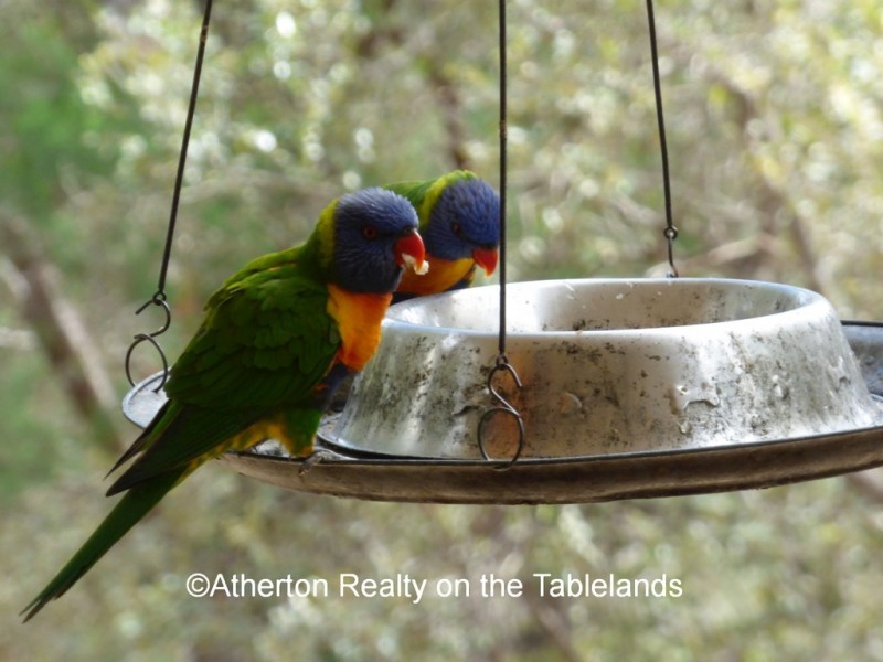 Watsonville QLD 4887