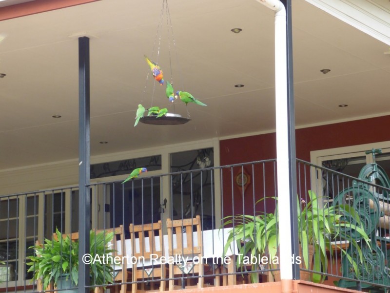 Watsonville QLD 4887